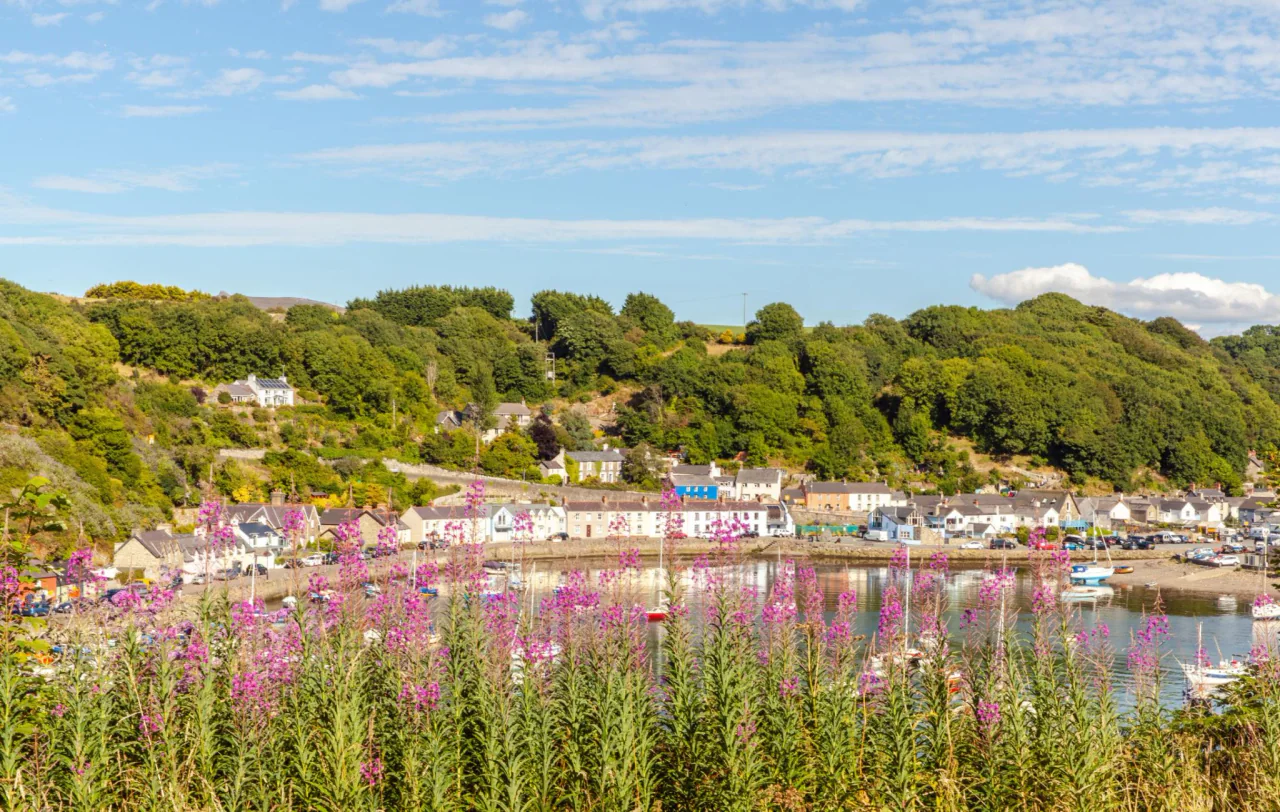Choses à faire à Fishguard