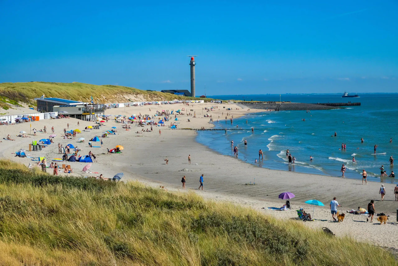 Vue de la côte autour de Hoek van Holland aux Pays-Bas