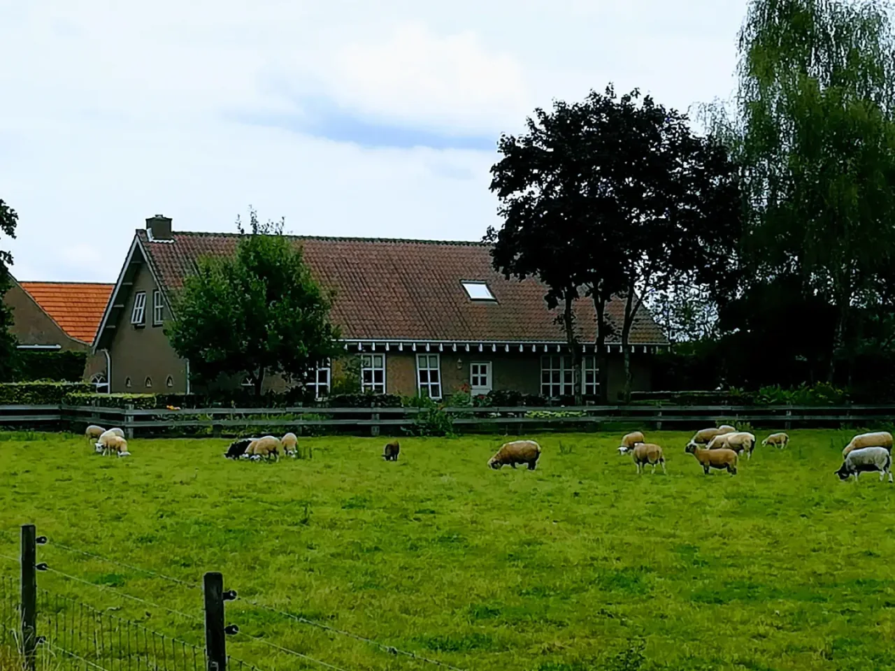 Plages, côtes et attractions de Fehmarn près de Puttgarden