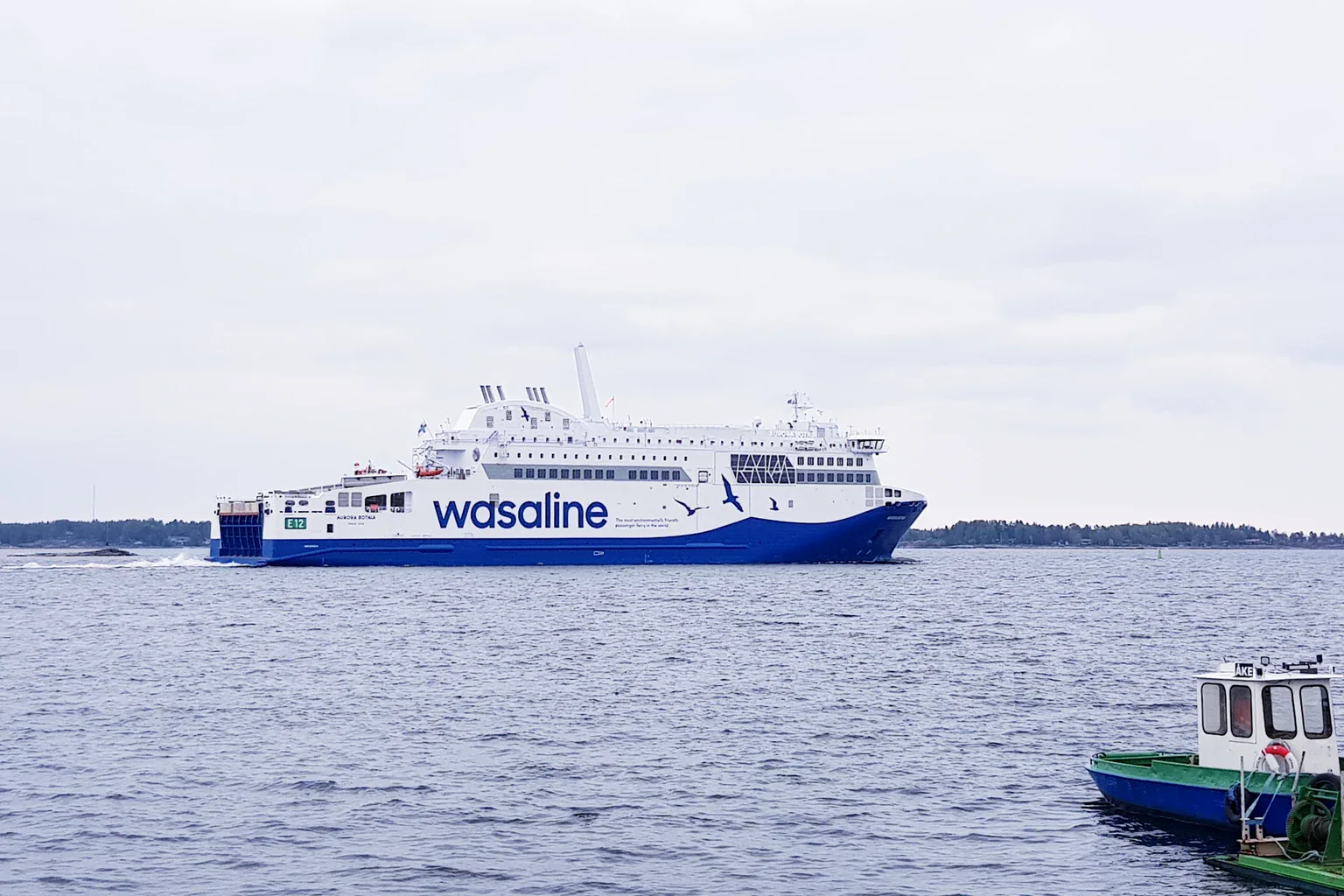 Wasaline