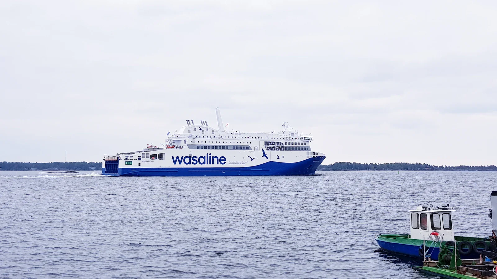 Aurore Botnia aux couleurs de Wasaline